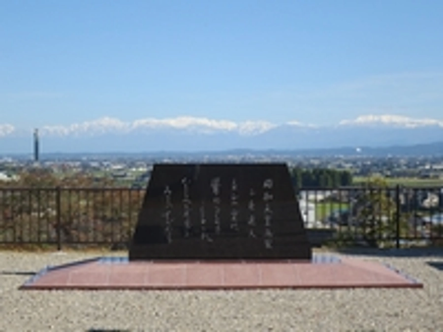 11月4日に撮影しました。