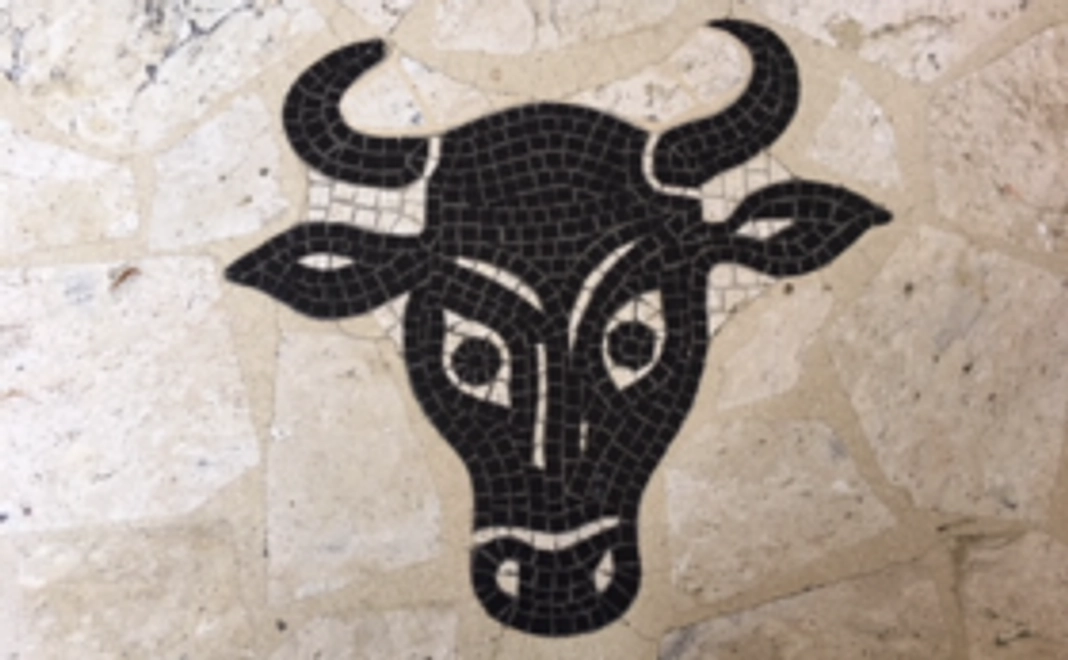 【うし応援チーム】