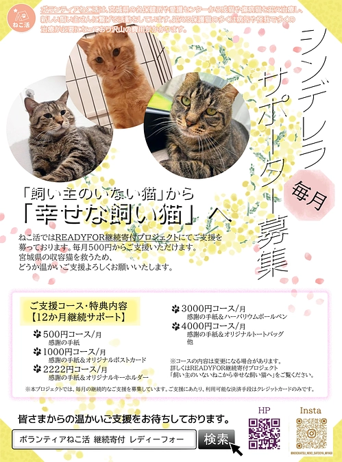 常設型のチラシをリニューアルしました