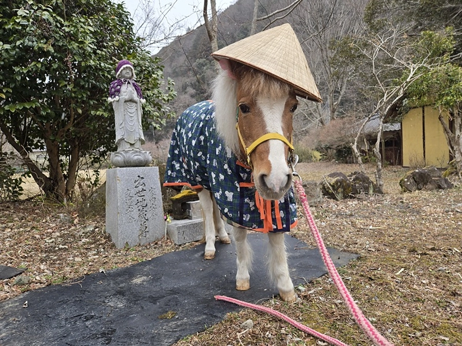 【3/6】移転してちょうど一年です！