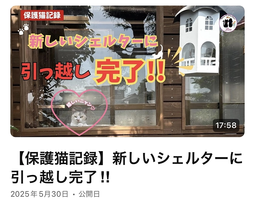 新しいシェルターに引っ越ししました