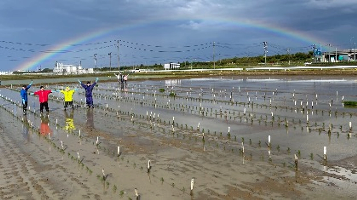 田植えが終わりました