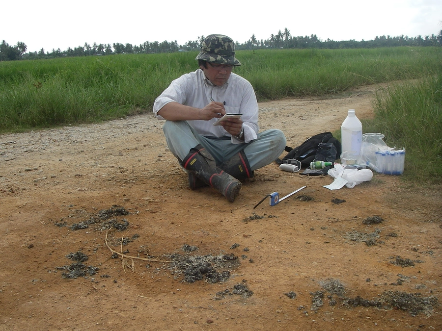 半島マレーシアでのカワウソ調査