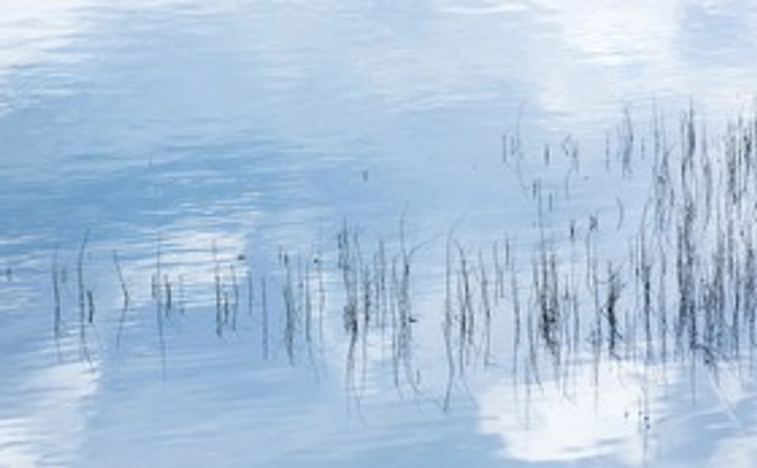 北海道のいつもの風景に感謝をこめて