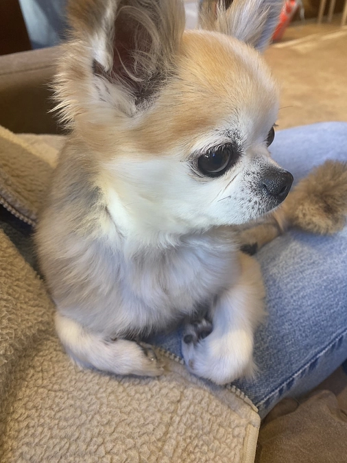 1年検診に行ってきました🚗³₃