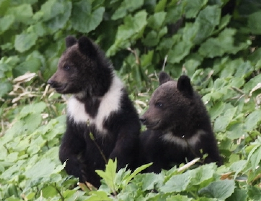 【本日最終日】