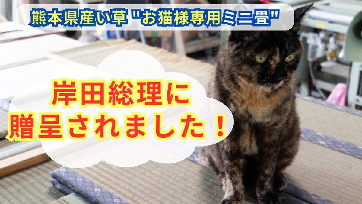 お猫様専用ミニ畳】が岸田総理にも贈呈されました！ 熊本県産い草【お