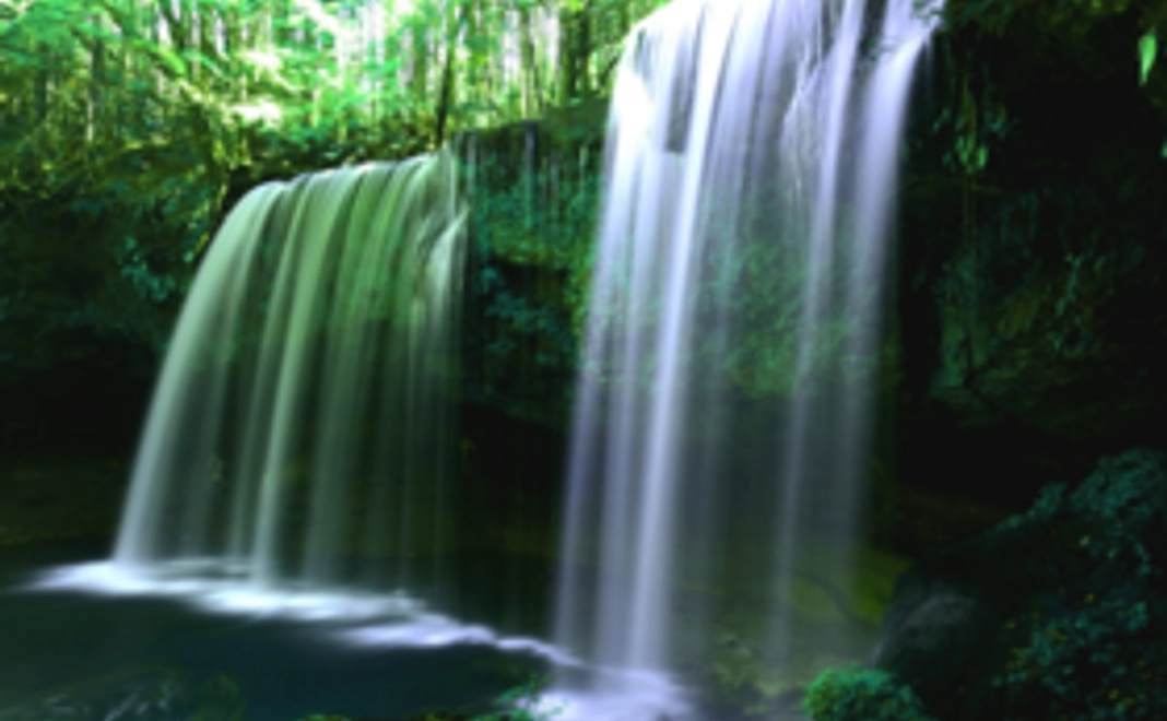 応援ありがとうございます