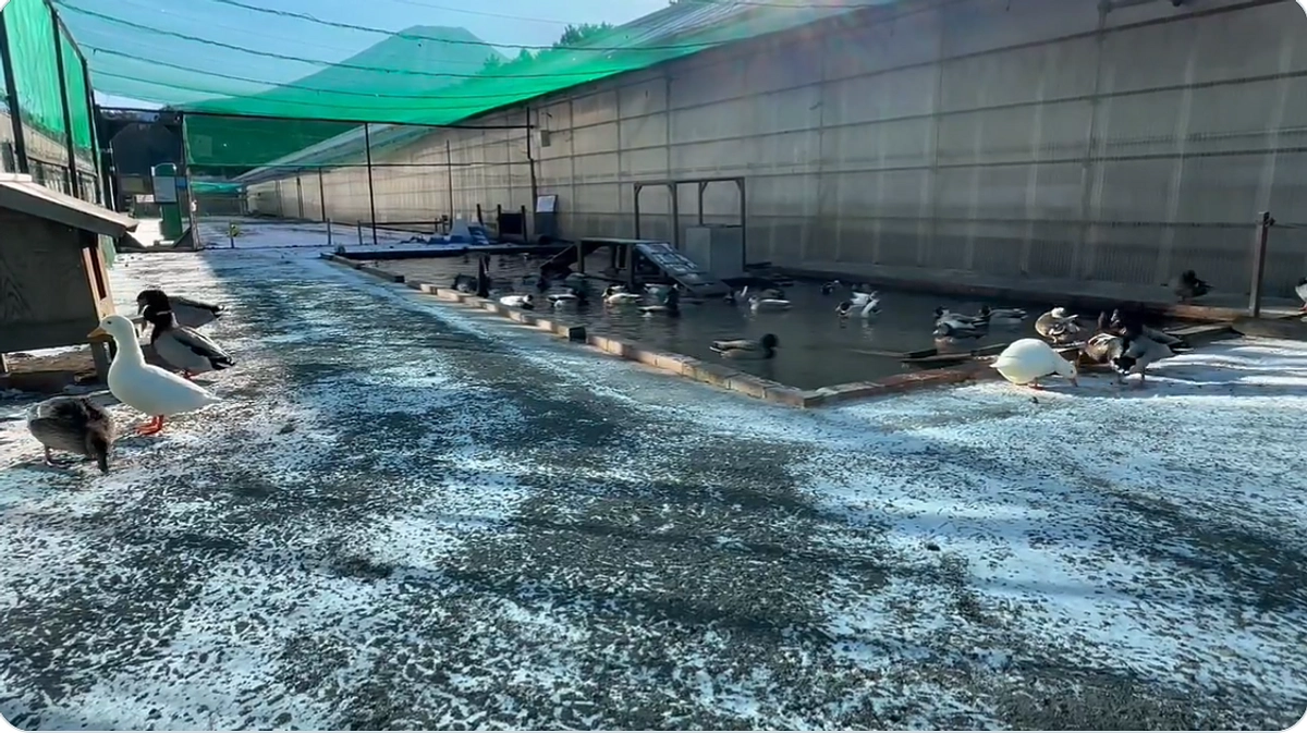 暖かい応援をいただき、心より感謝します。残り5日、目標額の94%に到達です。