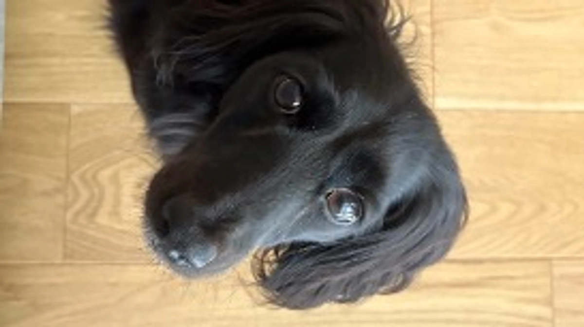 皆様、ご支援ありがとうございます！