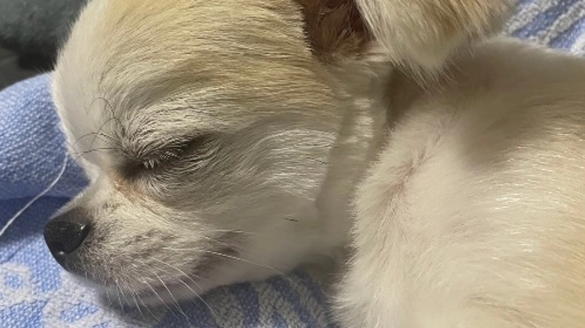 ”術後の経過報告⑱”です。