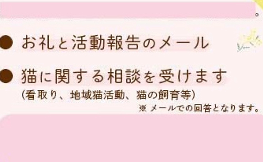 お礼メールと活動報告。ご希望の方からの猫相談（保護依頼以外）を受けます。