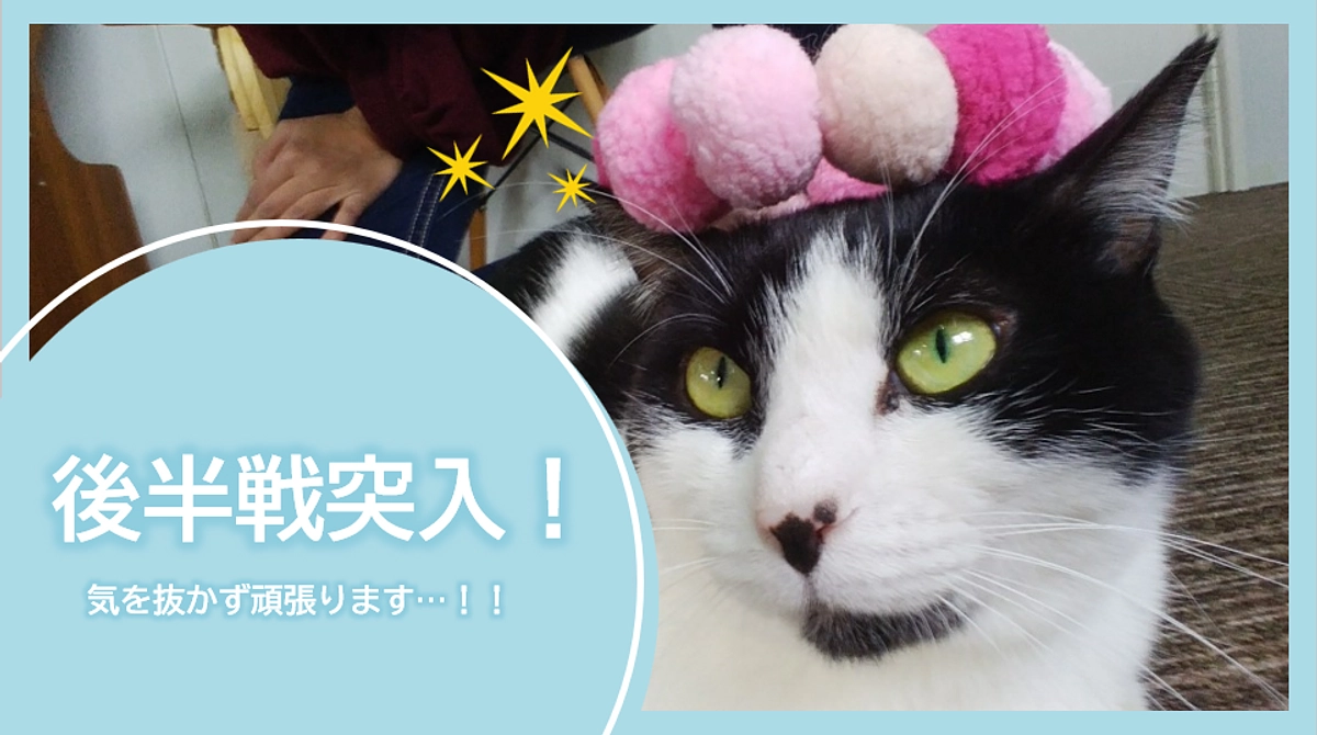 後半戦突入！気を抜かず頑張ります！！