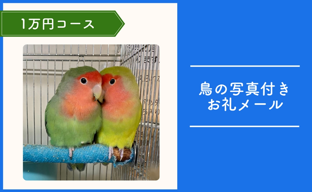 TSUBASA応援コース｜1万円