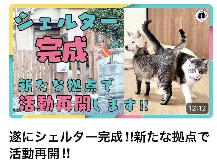 今日のシェルター