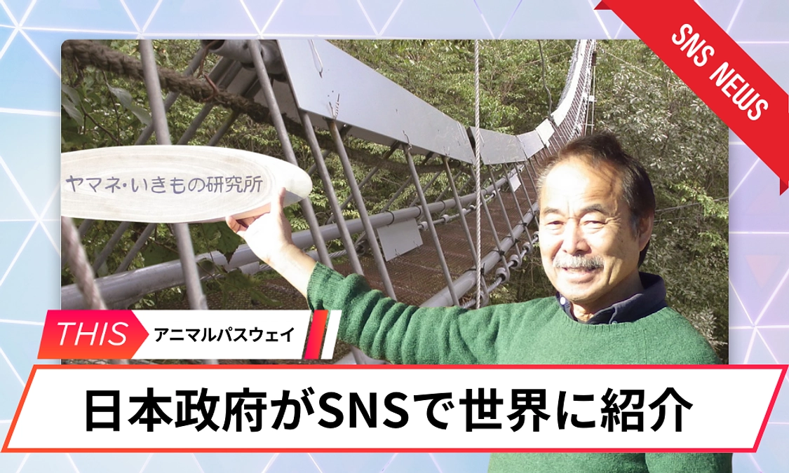 【あと7日！】 🗾🌍日本政府が世界にSNS発信【アニマルパスウェイ】🐛森の生物多様性を守る一歩