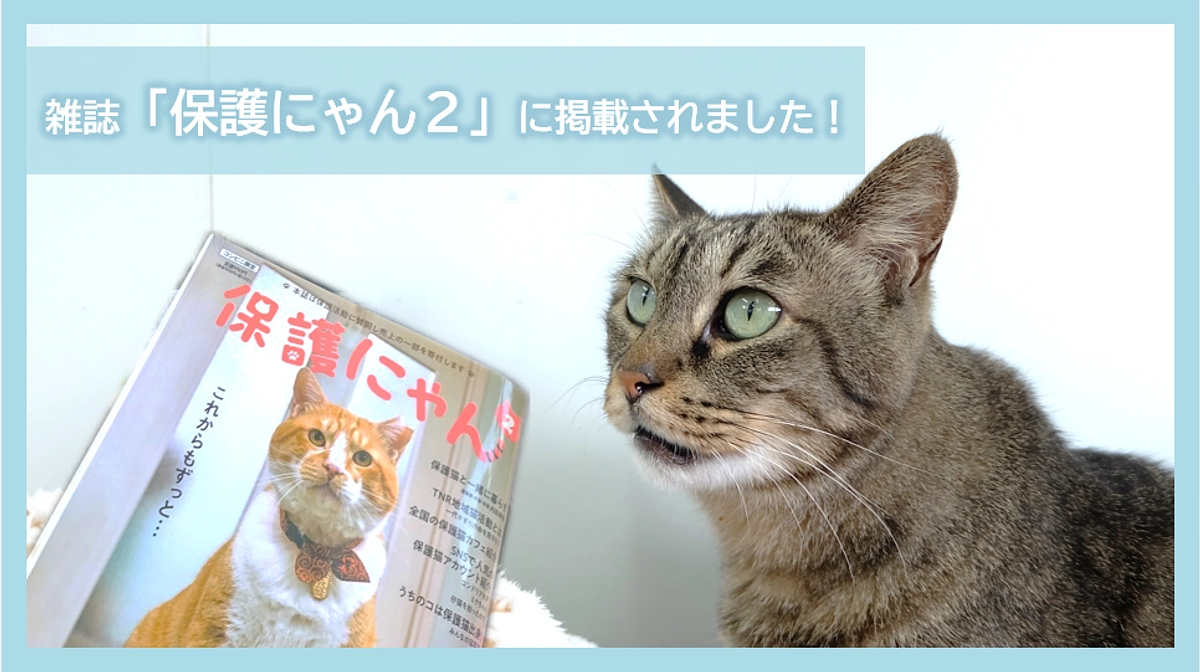 雑誌「保護にゃん２」に掲載されました！