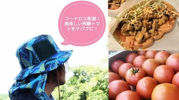 トマト農家６年目！“トマトたっぷりケバブ”キッチンカーを開業したい のトップ画像