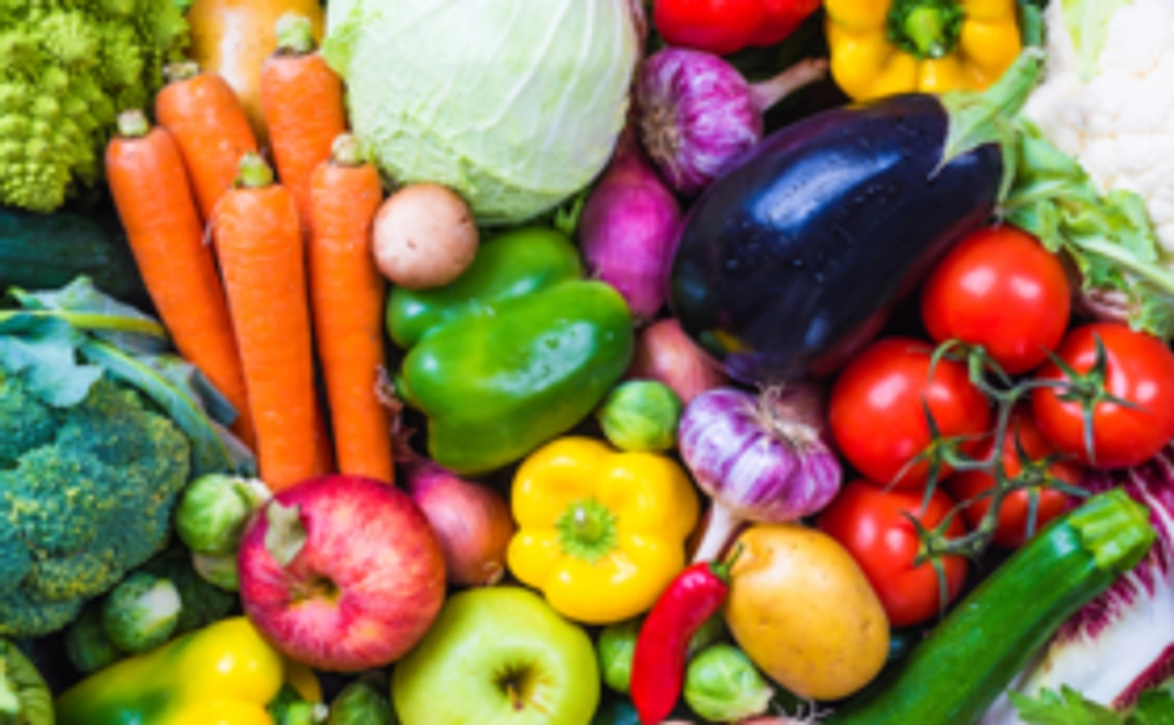 ダイエットのプロトレーナーによる１週間の食事管理をプレゼントします！！