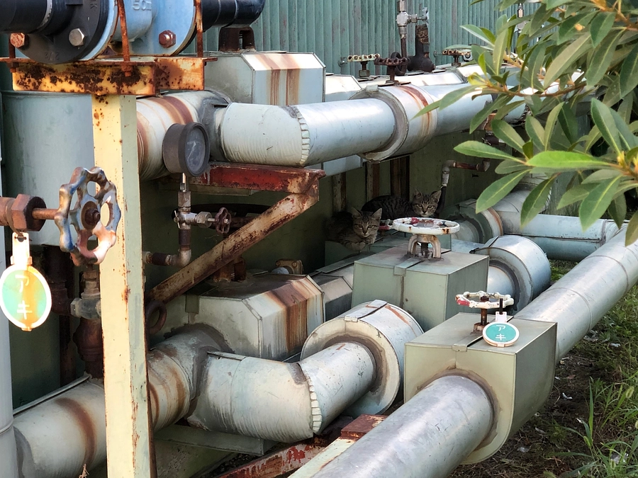 クラウドファンディングがスタートしました。