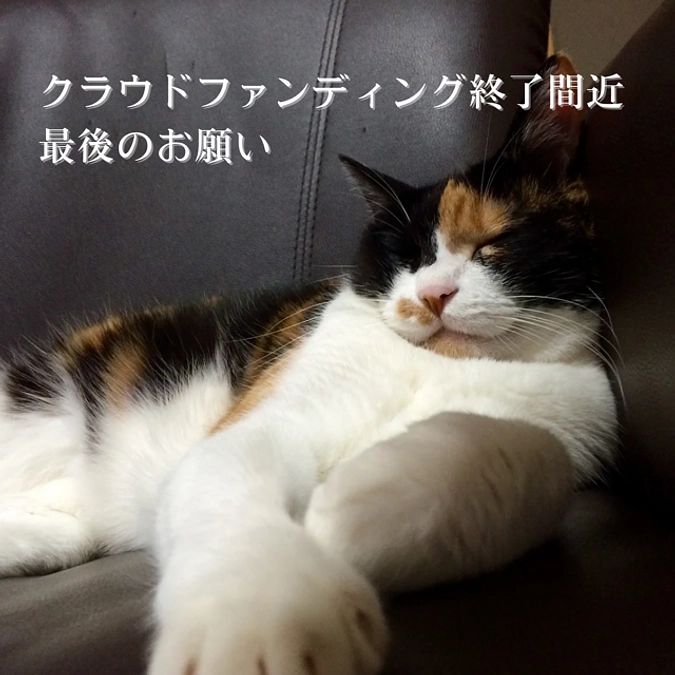 ■活動報告_32：「これまでの御礼」と「最後のお願い」