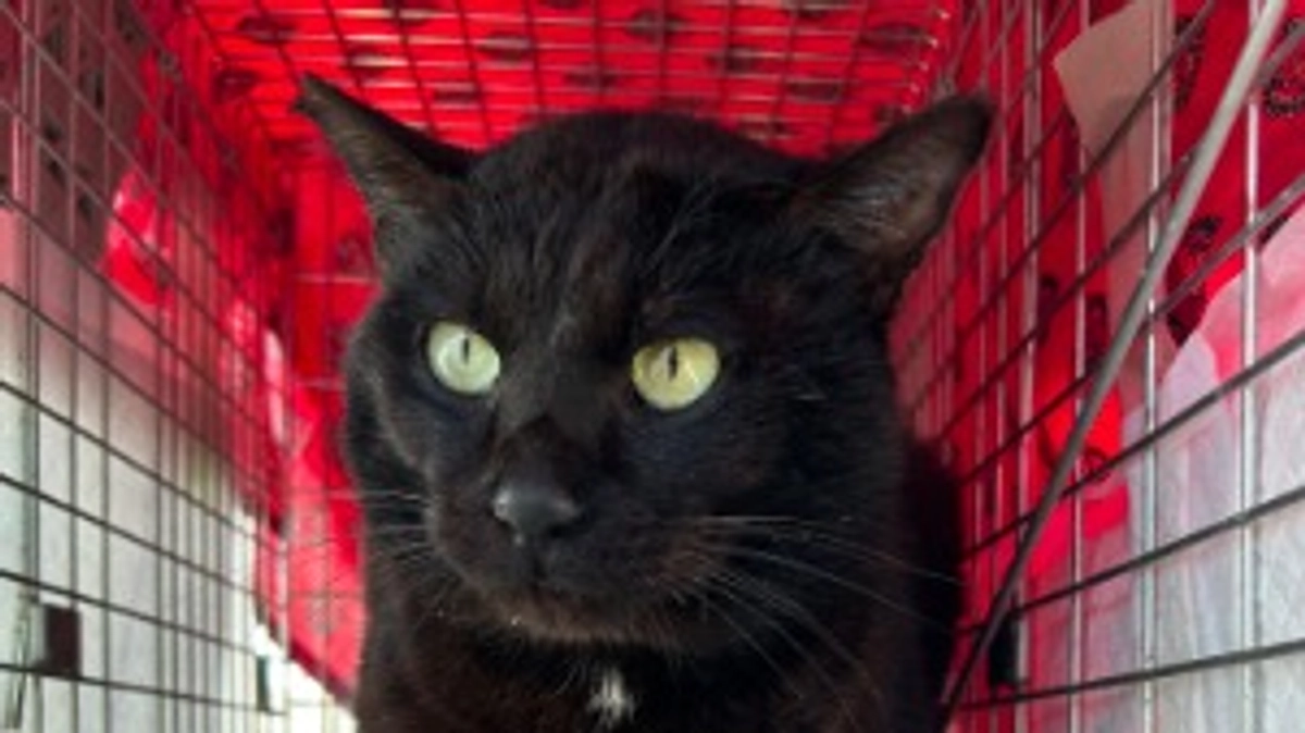 令和6年度活動実績のご報告