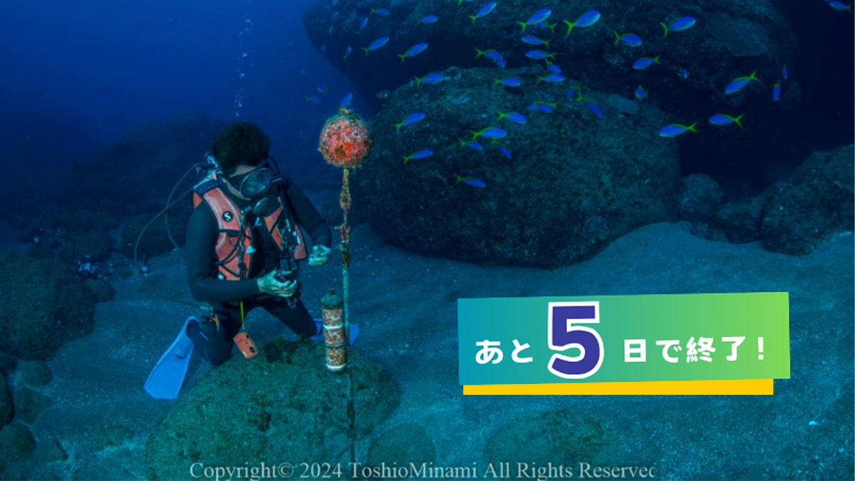 【あと5日】シロワニ受信機を回収！その様子をご紹介