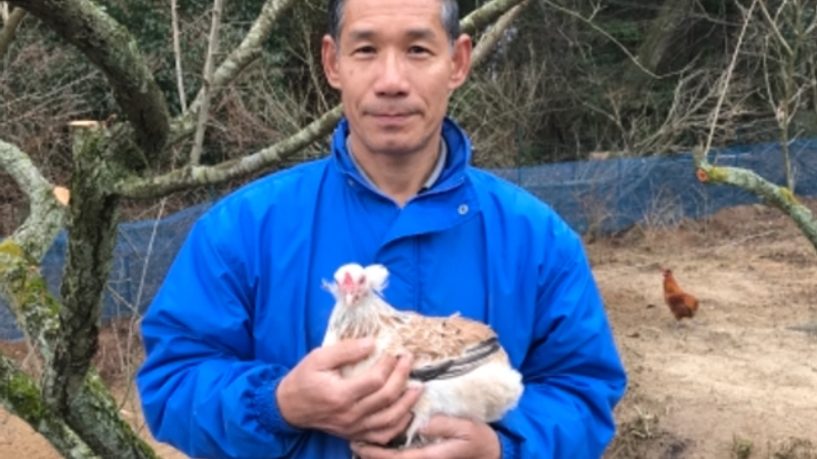 チリ原産の原種アローカナ鶏の栄養豊富な美味しい玉子を広めたい