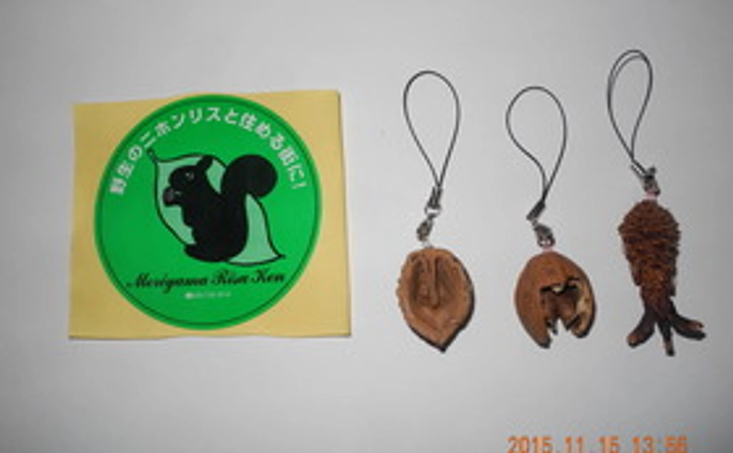 お礼状、証明書＆招待状、支援シール、リス食痕3種、オニグルミ1kg