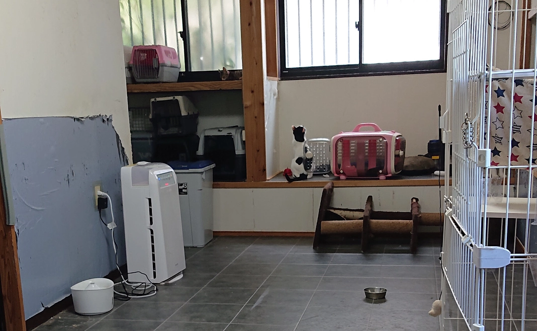 キャットタワーの購入費用