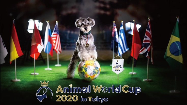 殺処分と飼育放棄にNOを。動物が主役のスポーツの祭典、開催！