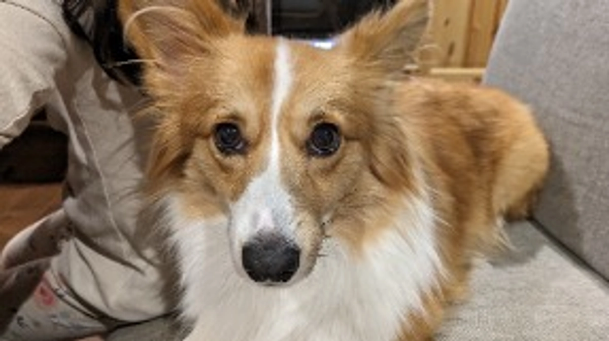 23時からインスタライブやります！