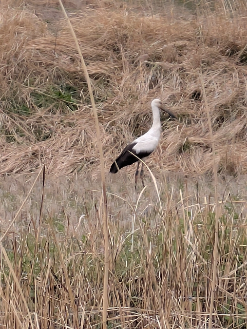 ちょっと心配です💦。