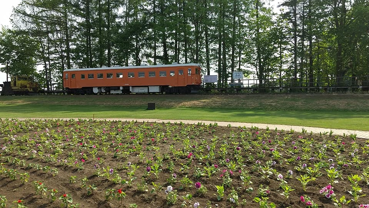 株式会社カンナ・カンナについて③～どんなことをしているのかな？その二～