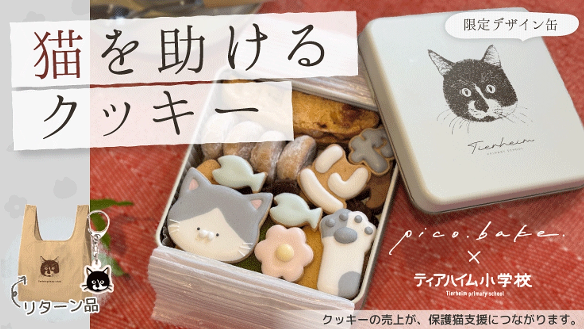 新しいプロジェクトがスタートしました！