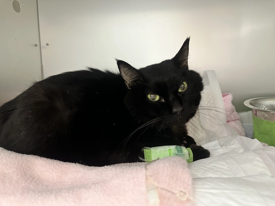 厳しい状況が続いています…