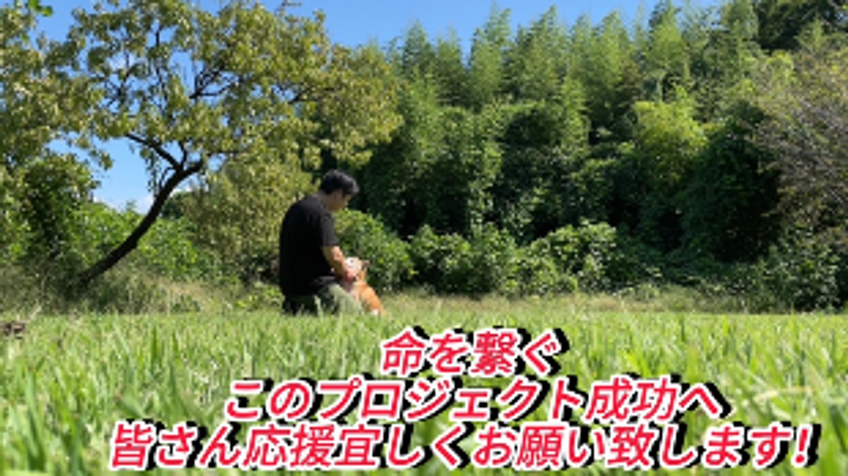 私達は『命』を繋ぎたい｡