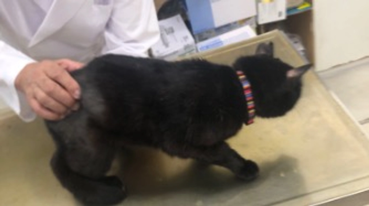 便秘問題💦　本日23時募集終了です！