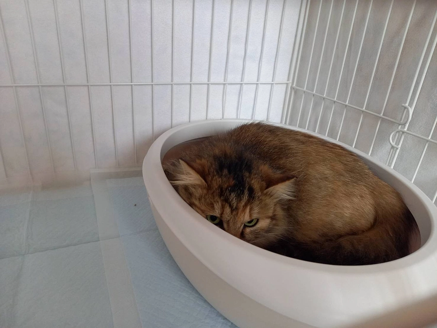 みんなみんな幸せに