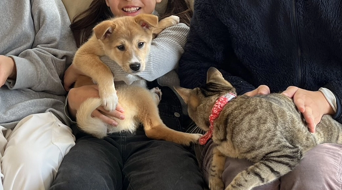 しあわせの花開く～ブランくん～