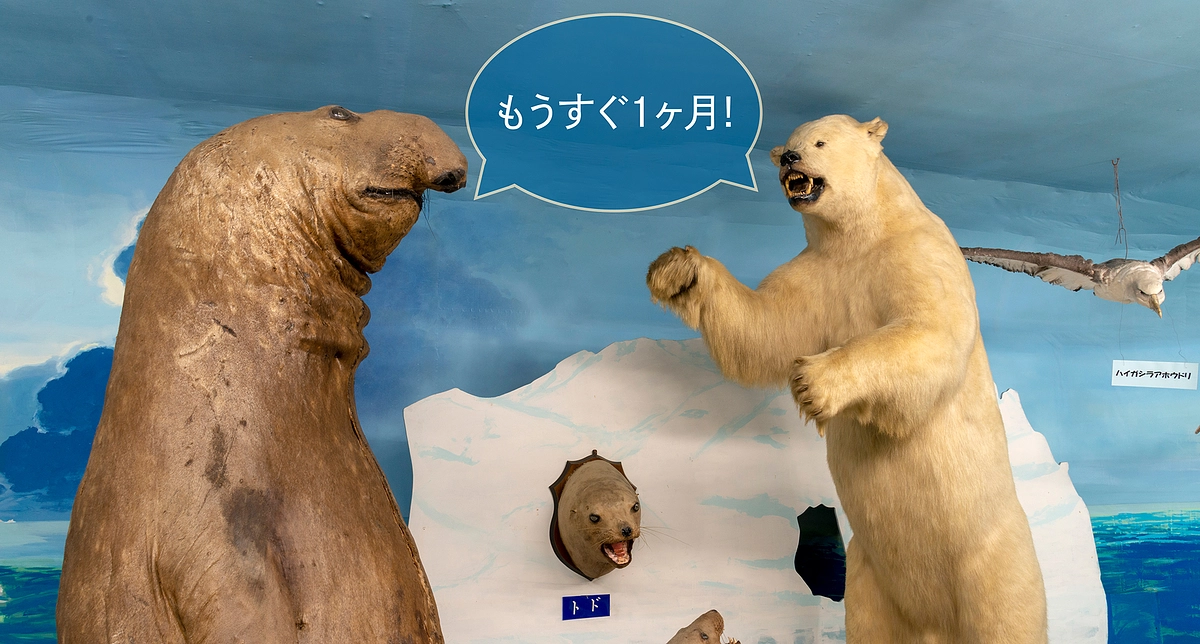 目指せ50%！残り32日、ご支援・拡散をお願いいたします。