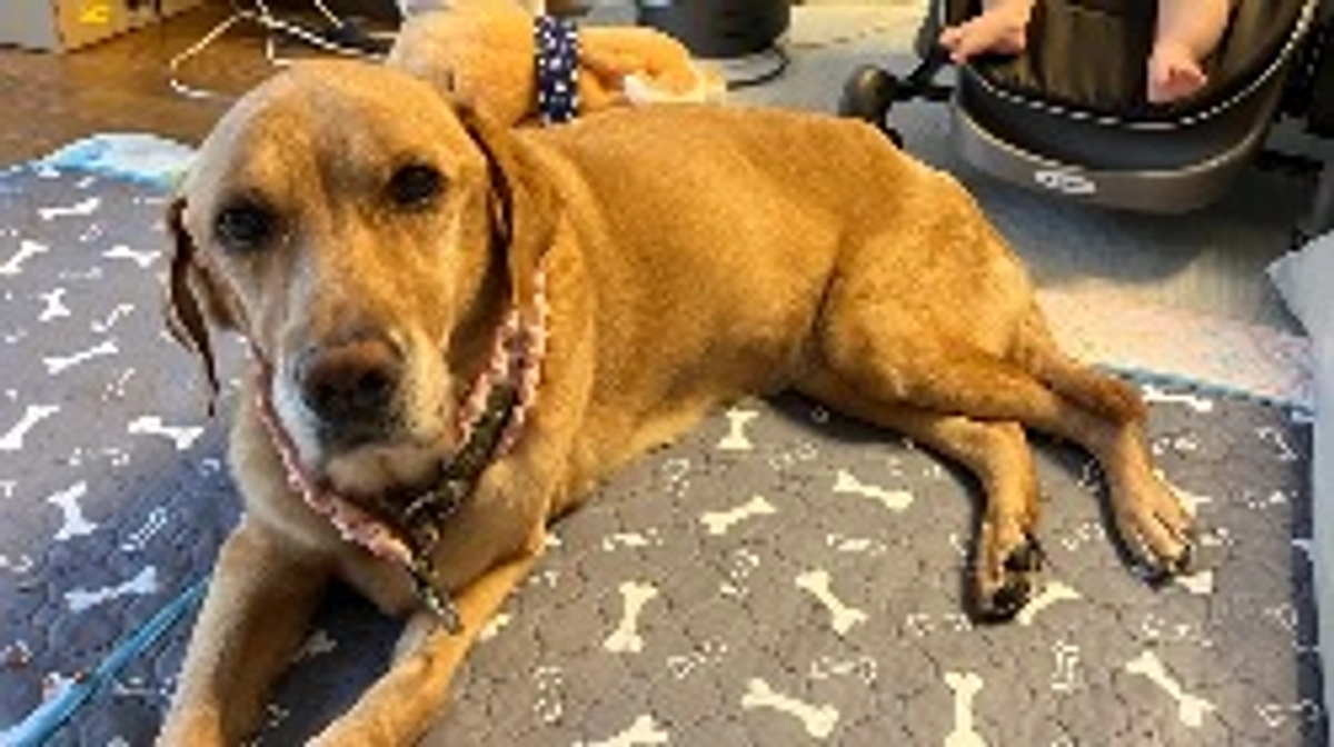 お願いやからごはん食べて(T_T)