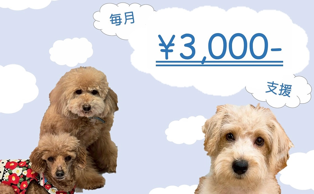 毎月3000円コース