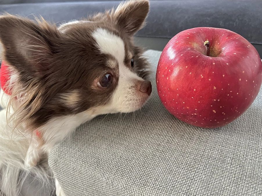 2023.12.14 術後9日目。