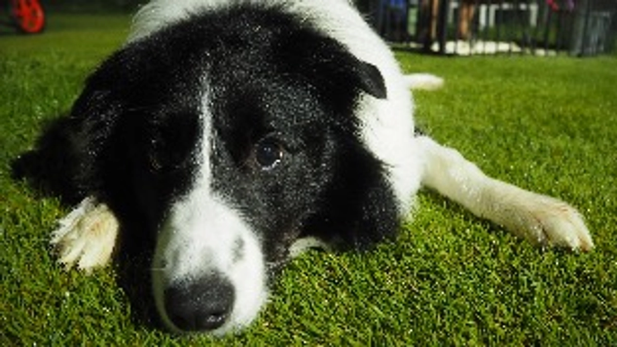 クラウドファンディング達成しました！！