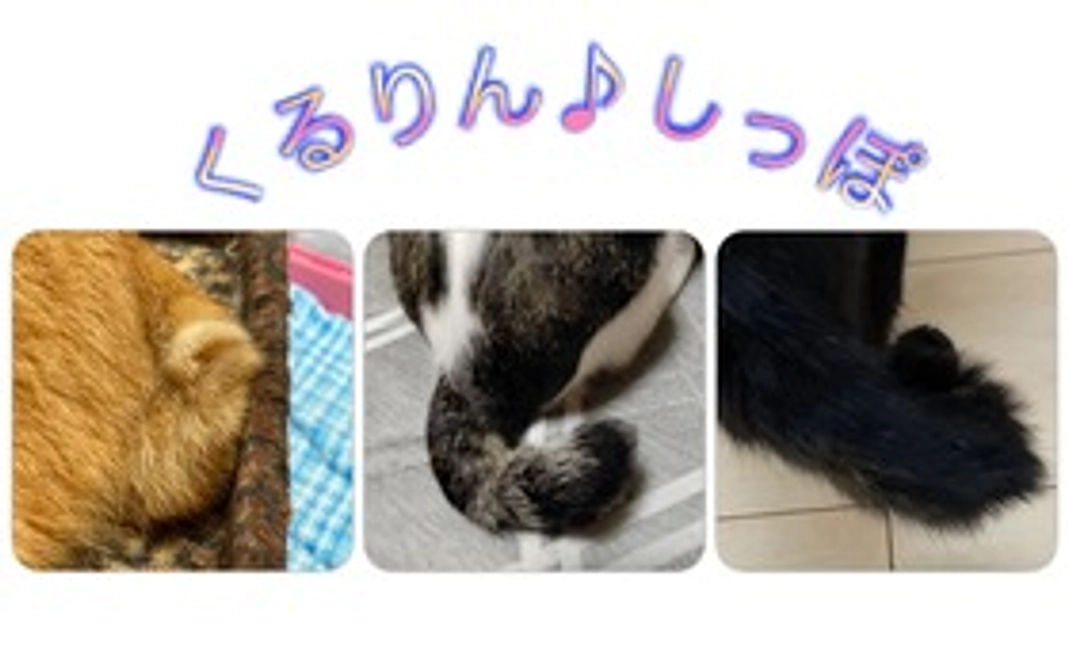 くるりん♪しっぽコース