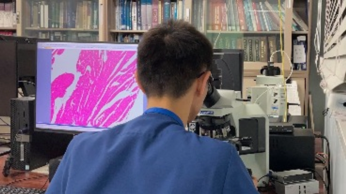 ページデザインのリニューアル！