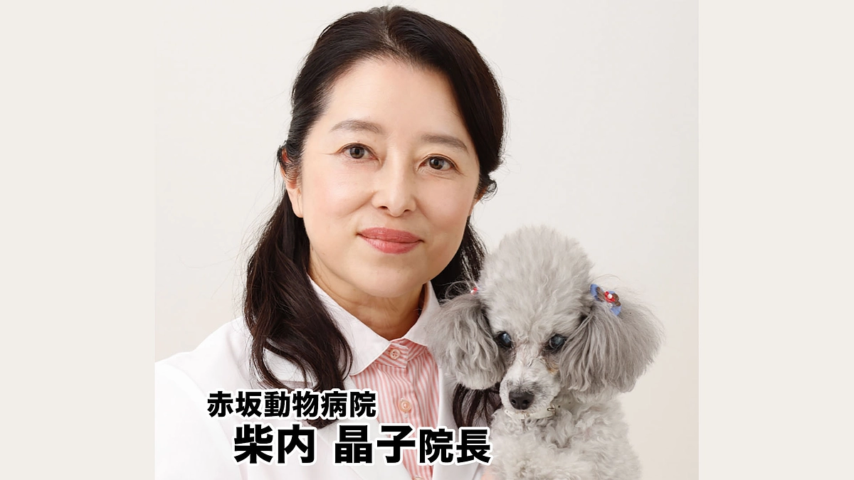 【ネクストゴールに挑戦中！】赤坂動物病院の柴内晶子院長からメッセージを頂きました！！