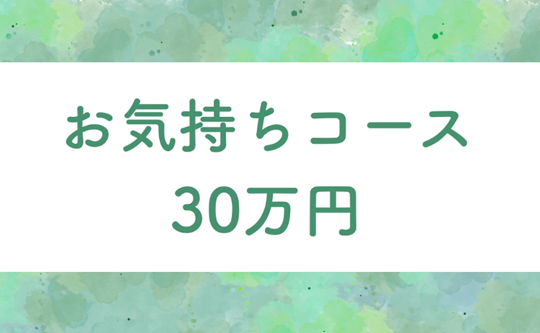 お気持ちコース | 300,000円