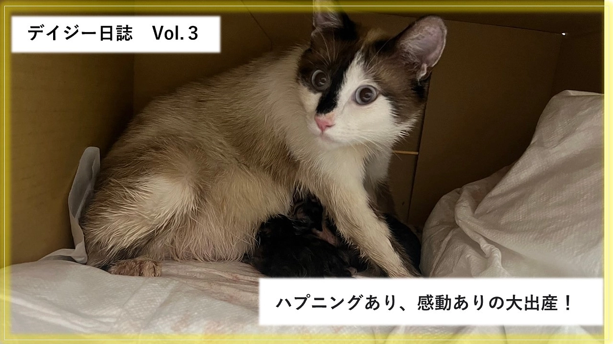 感動の出産　ハプニングだらけの初産！